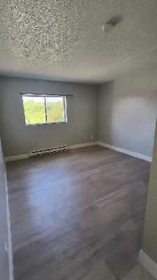 Bachelor available now and October in Minnow Lake area - Photo 4