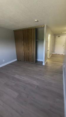 Bachelor available now and October in Minnow Lake area - Photo 5