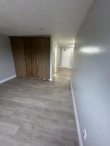 Bachelor available now and October in Minnow Lake area - Photo 6