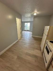 One Bedroom Available now Minnow Lake - Photo 2