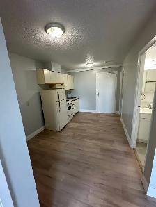 One Bedroom Available now Minnow Lake - Photo 3