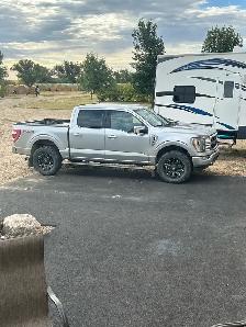 2021 F150 Ford Platinum