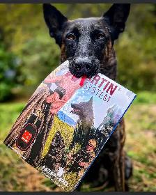 PROFESSIONAL DOG TRAINING - Photo 8