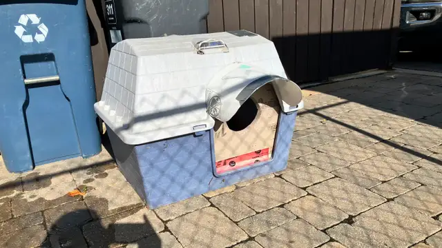 Dog/Cat house