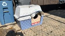 Dog/Cat house