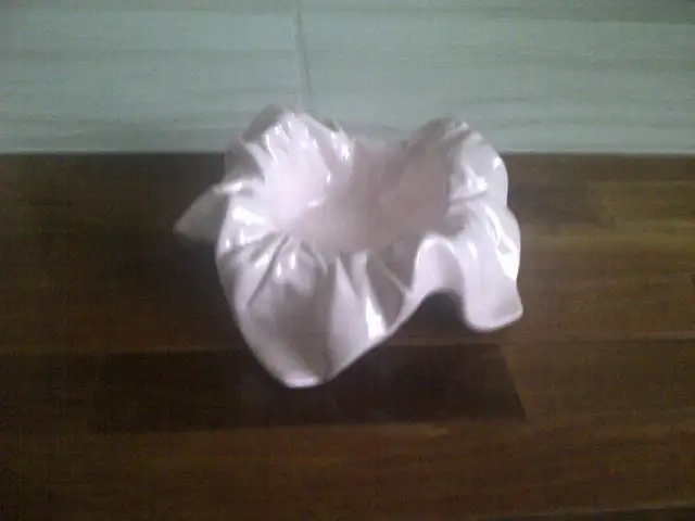 VASE NEUF PORCELAINE ROSE GRIS 35'HAUx9'DIAMÈ SIGNÉ LINE: $15.00