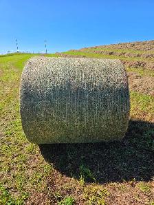 2026 ROUND HAY BALES