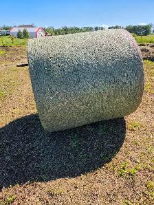 2026 ROUND HAY BALES - Photo 3