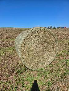 2026 ROUND HAY BALES - Photo 6