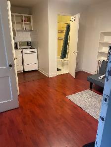Studio   Bonus Sunroom | Harbord & Bathurst | $1,380 All-In - Photo 5
