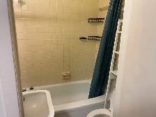 Studio   Bonus Sunroom | Harbord & Bathurst | $1,380 All-In - Photo 8