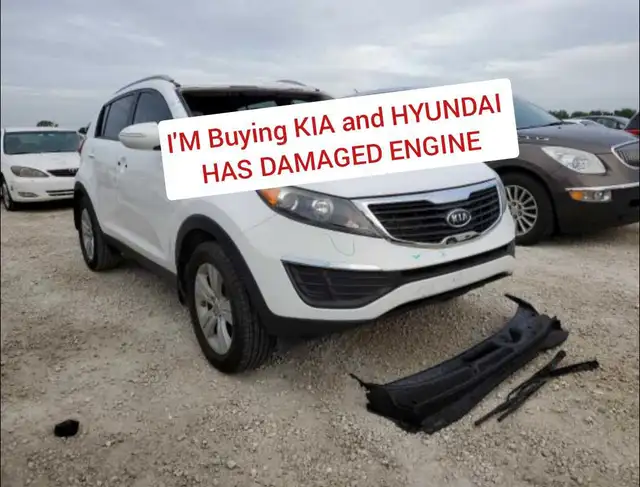 Buying $ Kia and Hyundai / has blown engine