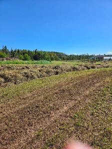 SQUARE HAY BALES - Photo 5