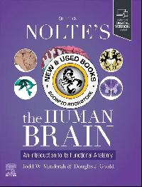 Nolte's The Human Brain by Todd W. Vanderah 9780443126864