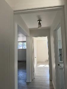 Appartement à louer à St-Hubert 4 et demie - Photo 5