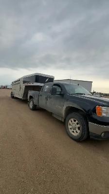 Custom Livestock Transport