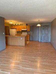 2 Bedroom 1.5 bathrooms Condo AB side, Lloydminster for rent - Photo 4
