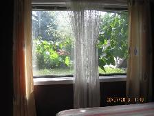 Best rooms for student, professional short-long term! - Photo 2