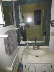 $750.00 Apartment FURNISHED 89 A & 180 ST. EDMONTON ALBERTA - Photo 5