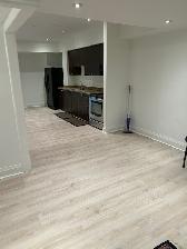 Large Newly Renovated Executive Basement - Photo 3
