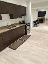 Large Newly Renovated Executive Basement - Photo 6