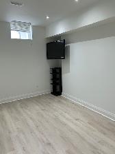 Large Newly Renovated Executive Basement - Photo 7