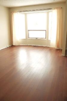 Lrg 1200sf 3BR/2B nr LRT w/ dbl grg-nwr ktchn,bath/fnc yrd/PetOK - Photo 3