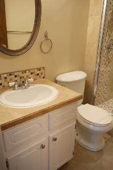 Lrg 1200sf 3BR/2B nr LRT w/ dbl grg-nwr ktchn,bath/fnc yrd/PetOK - Photo 7