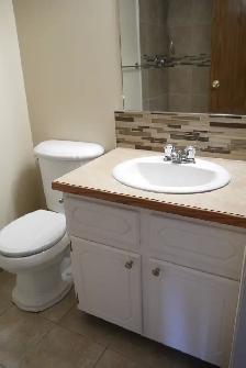Lrg 1200sf 3BR/2B nr LRT w/ dbl grg-nwr ktchn,bath/fnc yrd/PetOK - Photo 11