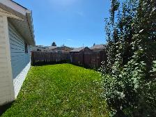 Lrg 1200sf 3BR/2B nr LRT w/ dbl grg-nwr ktchn,bath/fnc yrd/PetOK - Photo 15