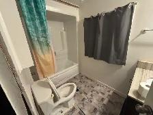 Whole house for rent for working professional available now - Photo 12