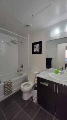 Furnished luxury 1 bedroom Condo with wifi parking Yonge&SSteels - Photo 7