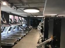 November 1st - One bedroom Apt starting at $1699   Hydro - Photo 6