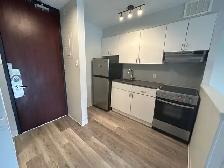 November 1st - One bedroom Apt starting at $1699   Hydro - Photo 8
