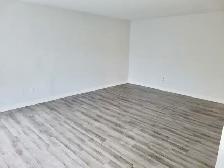 Large 2 bed 1 bath for lease - 1000 sqft - Hamilton - Photo 4