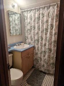 2 BR Wolseley Upper Duplex Unit for rent - Photo 4