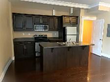3-145 Christina- Downtown Living! 2-Bedroom Suite w/ Laundry - Photo 2