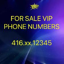 Our VIP numbers will elevate your business 416,647,905,437 Code