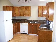BRIGHT 1 BEDROOM SUITE - Photo 3