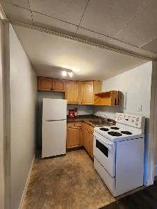 2 Bedroom 1 Bathroom Basement Apartment - Photo 3