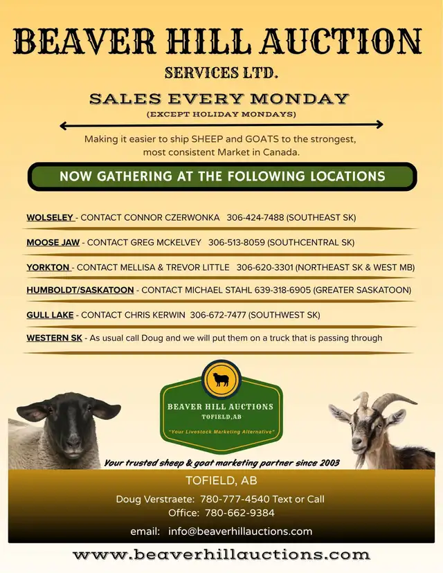 Beaverhills Auction Sept 14- gathering north east  of Yorkton