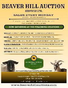 Beaverhills Auction Sept 14- gathering north east  of Yorkton