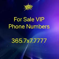 Limited Quantities of Best Vip Phone Numbers. 416,647,905,437