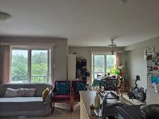 2 bdr apt, East SJ, Short drive to NBCC UNB, Top floor, Elevator - Photo 12