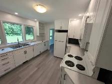 NEWLY RENOVATED HOUSE FOR RENT - Photo 9