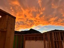 Hiring Full Time Labourers/Framers - Photo 3