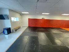 Gym Space for rent - Photo 3