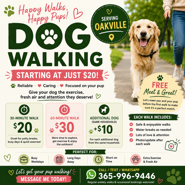 DOG WALKING — STARTING AT JUST $20!