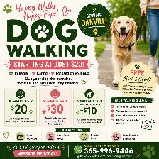 DOG WALKING — STARTING AT JUST $20!