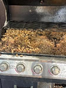 free BBQ - Photo 2
